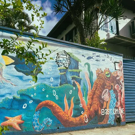 Oceanic Hostel-3